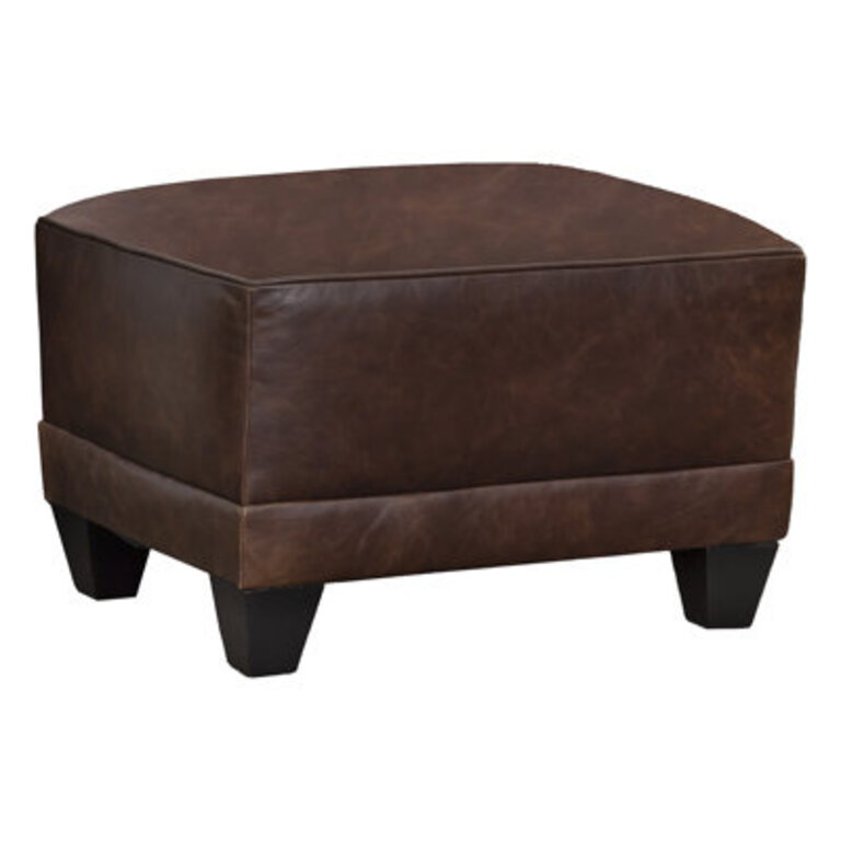 Parisian 25 Wide Genuine Leather Rectangle Standard Ottoman