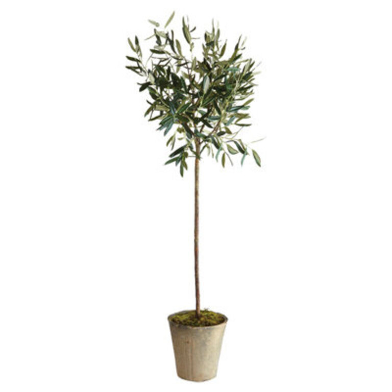 Faux Olive Tree Tree in Ceramic Pot