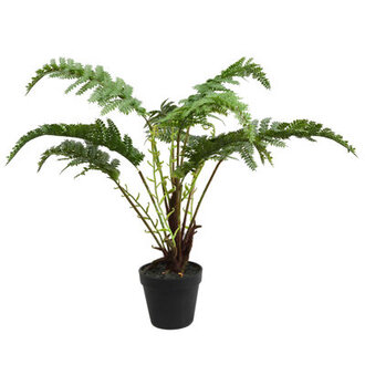 Fern 20 Faux Plant in Pot