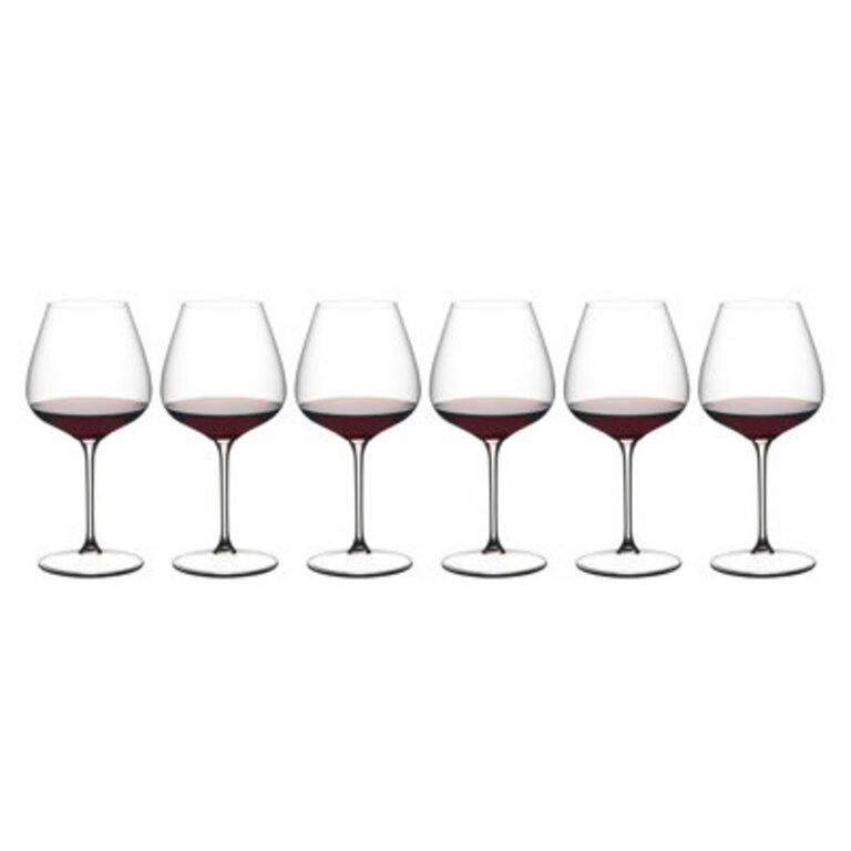 Set of 6 White WineChampagne GlassSpritz Glass