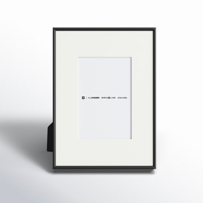 Feronia Metal Picture Frame with Mat