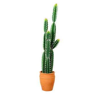 Artificial Cactus in Terracotta Planter