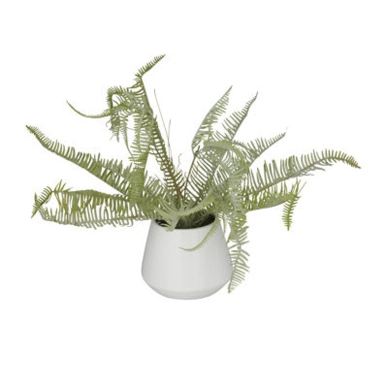 135 Faux Fern Plant in Ceramic Vase