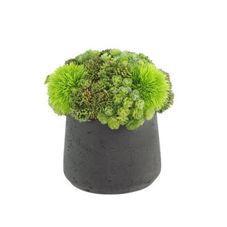 Rizal 7 Faux Succulent Plant in Fiberstone Pot