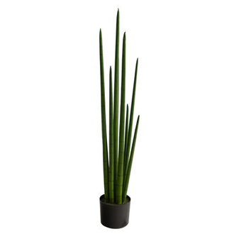 Faux Snake Plant Sansevieria Plant in Pot Liner