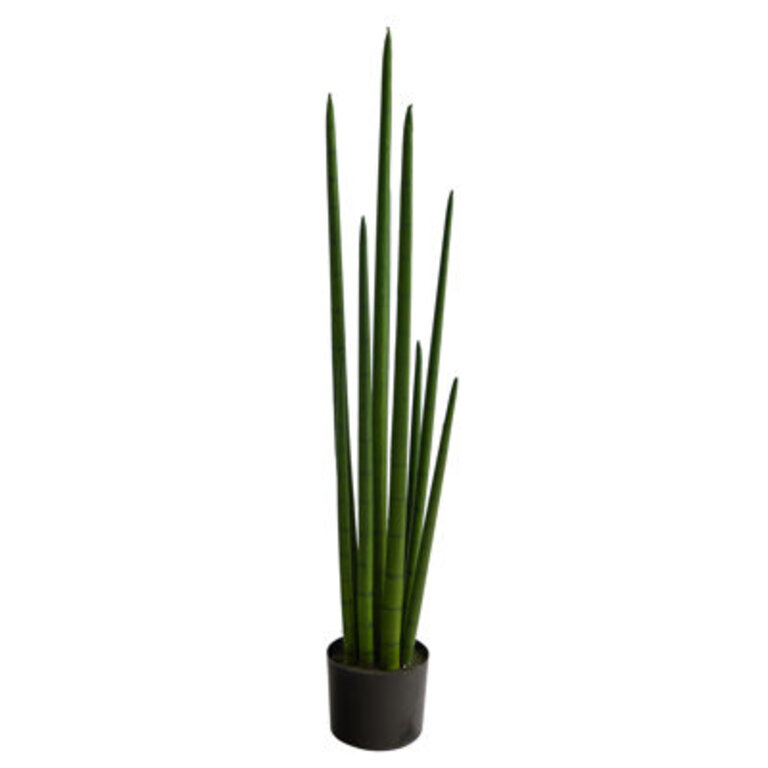Faux Snake Plant Sansevieria Plant in Pot Liner