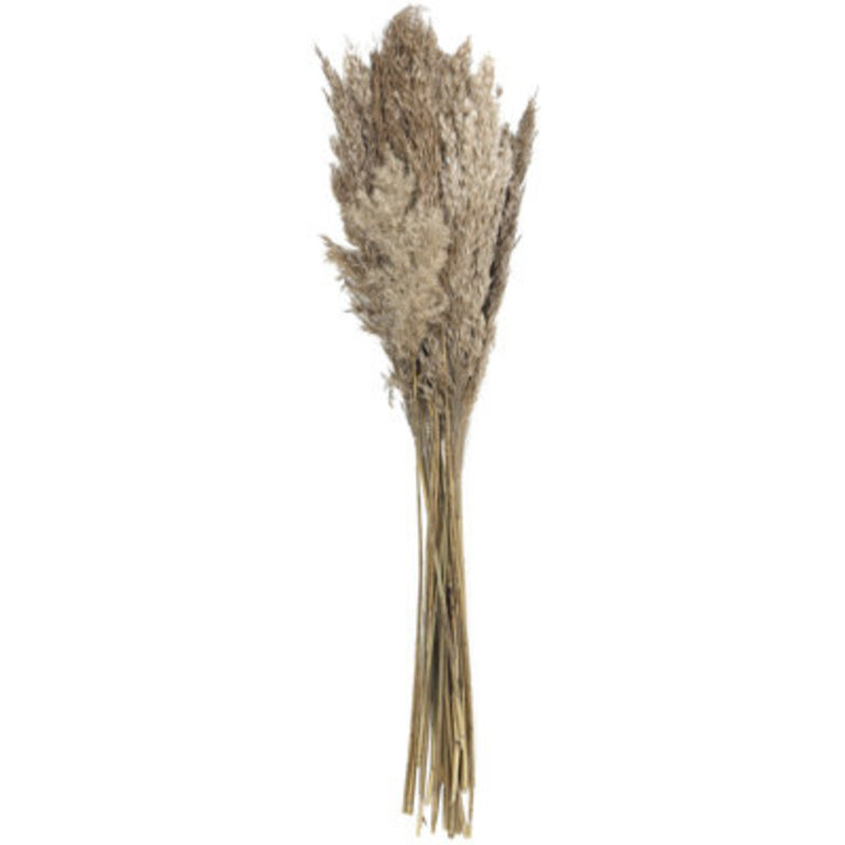 Pampas Grass Arrangement
