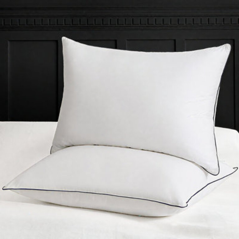 Sleeping Goose Down Plush Support Pillow Set of 2