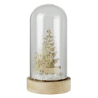 LED Snowglobe