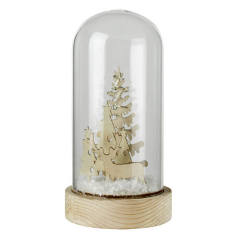 LED Snowglobe
