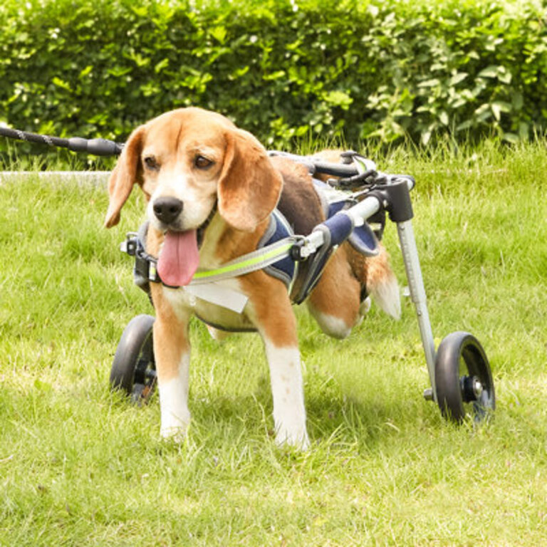 Foldable Pet Wheels Dog Wheelchair