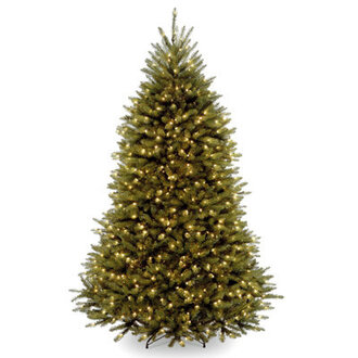 Dunhill Fir Tree with Clear Lights