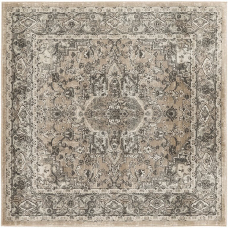 Jurado Oriental BeigeGray Area Rug