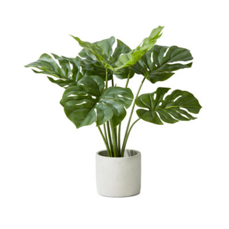 21 Faux Evergreen Plant in Cement Pot