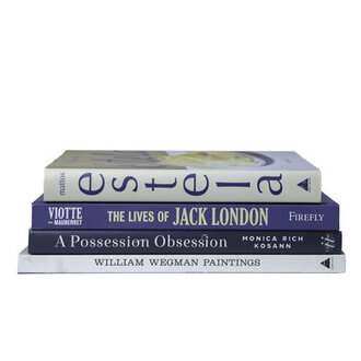 4 Piece Modern Coastal Shores Ruken Decorative Book Set