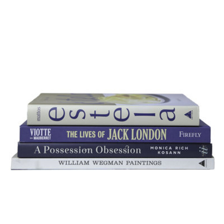 4 Piece Modern Coastal Shores Ruken Decorative Book Set