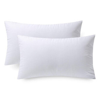 Phantoscope Reversible Pillow Inserts