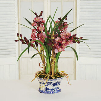Orchid Arrangement in Pot