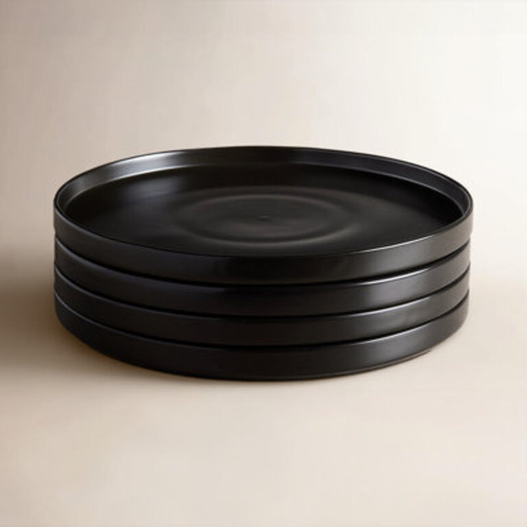 Set of 4 Izie Straight Lip Stoneware Dinner Plates