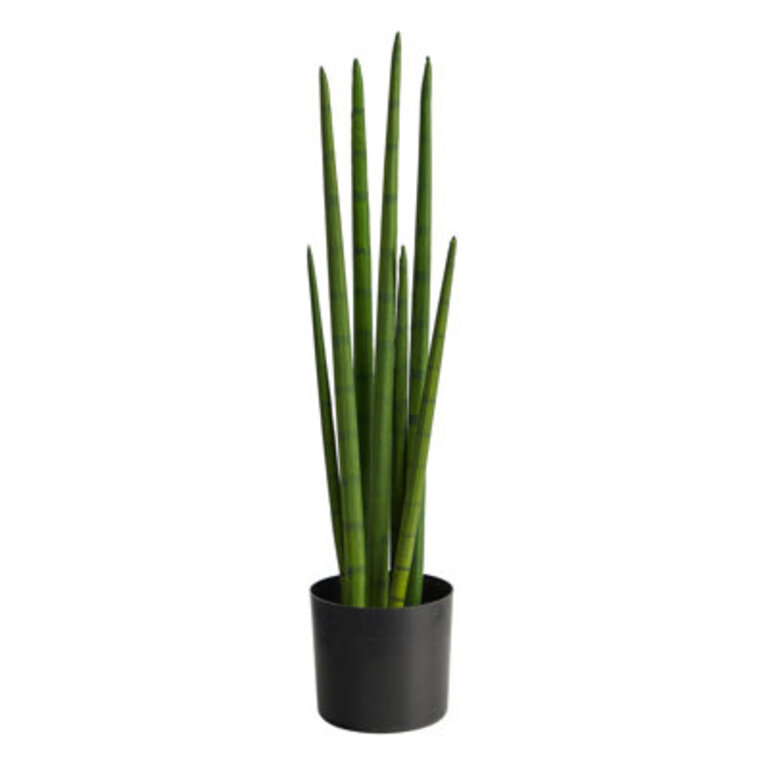 Faux Snake Plant Sansevieria Plant in Pot Liner
