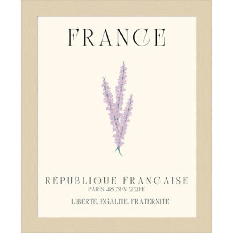 Mirando  France Travel Poster French Lavender  by Chayan Lewis