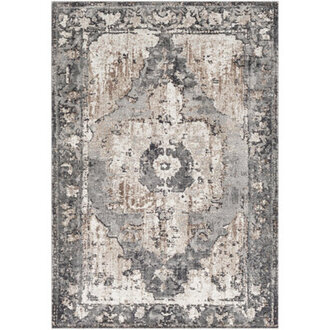 Addisyn Machine Woven Oriental Charcoal Area Rug