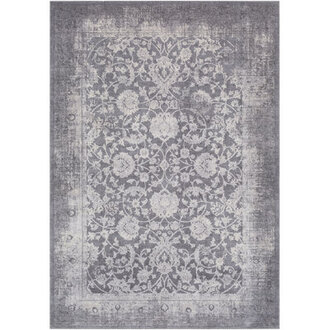 Alexander Oriental Indoor Rug