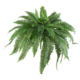 Faux Fern Plant  (set of 3)