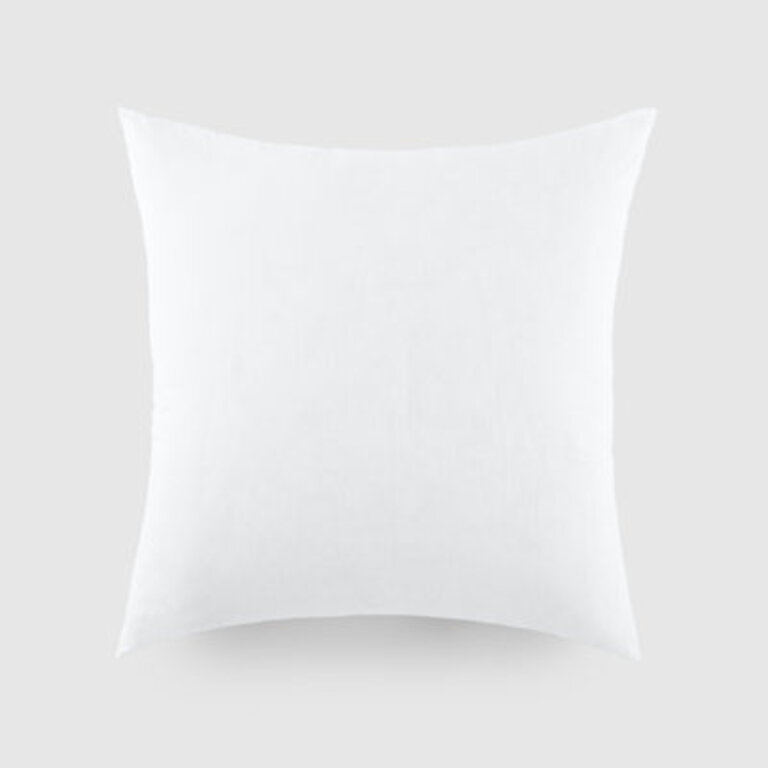 Plush 21x21 Throw Pillow Insert