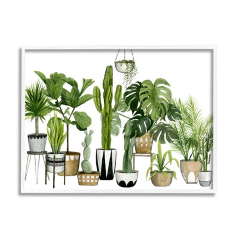 Boho Plant Scene With Cacti And Succulents In Pots