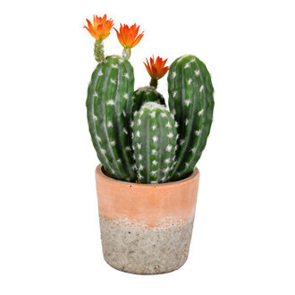 14 Faux Succulent in Ceramic Pot