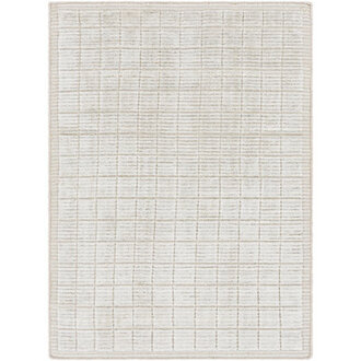 Jacey Checkered Indoor Rug