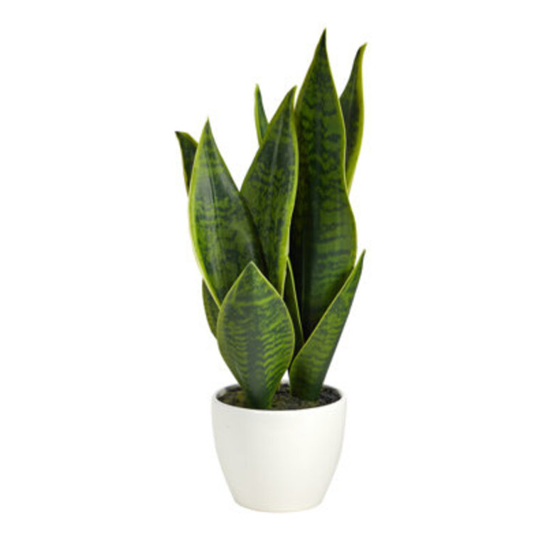 16 Faux Snake Plant Sansevieria Succulent in Planter