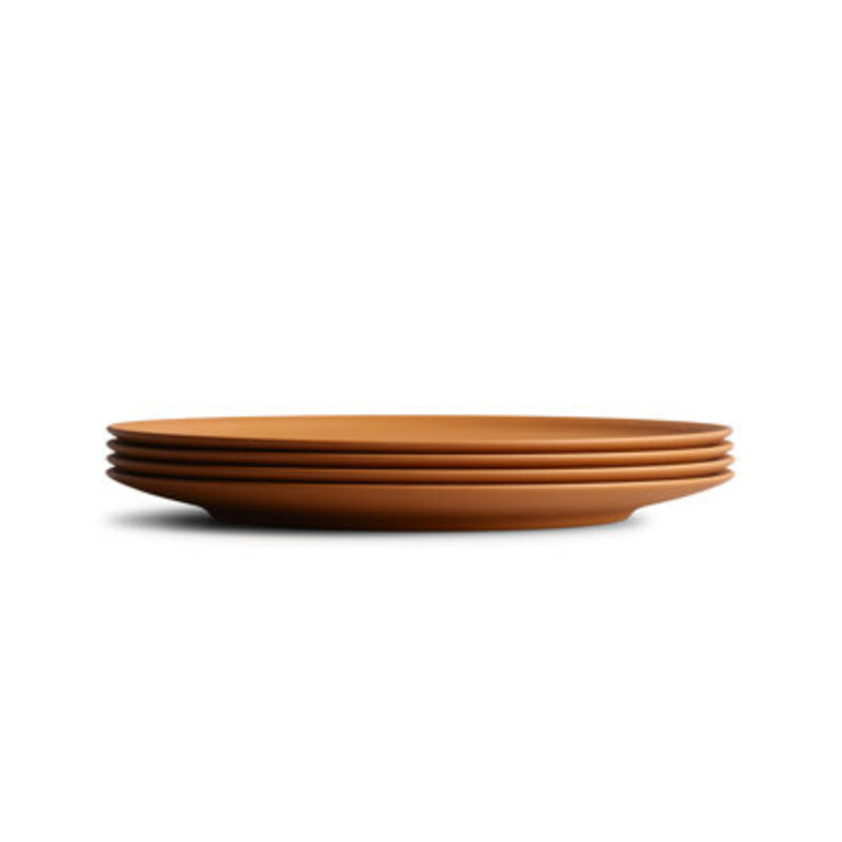 Plant-Derived IndoorOutdoor Big Plates