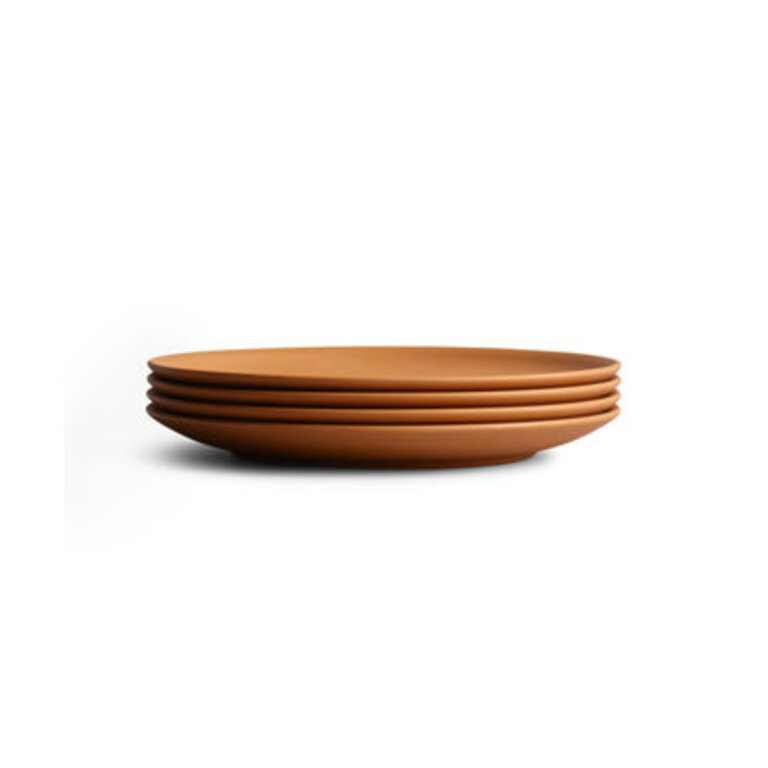 Year  Day Plant-Derived IndoorOutdoor Small Plate