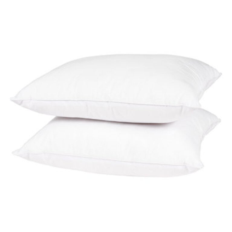 Wayfair Basics Didomenico Pillow Insert
