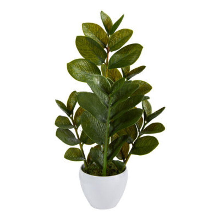 22 Faux Zamioculcas Plant in Planter