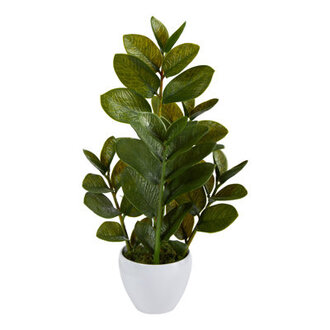 22 Faux Zamioculcas Plant in Planter