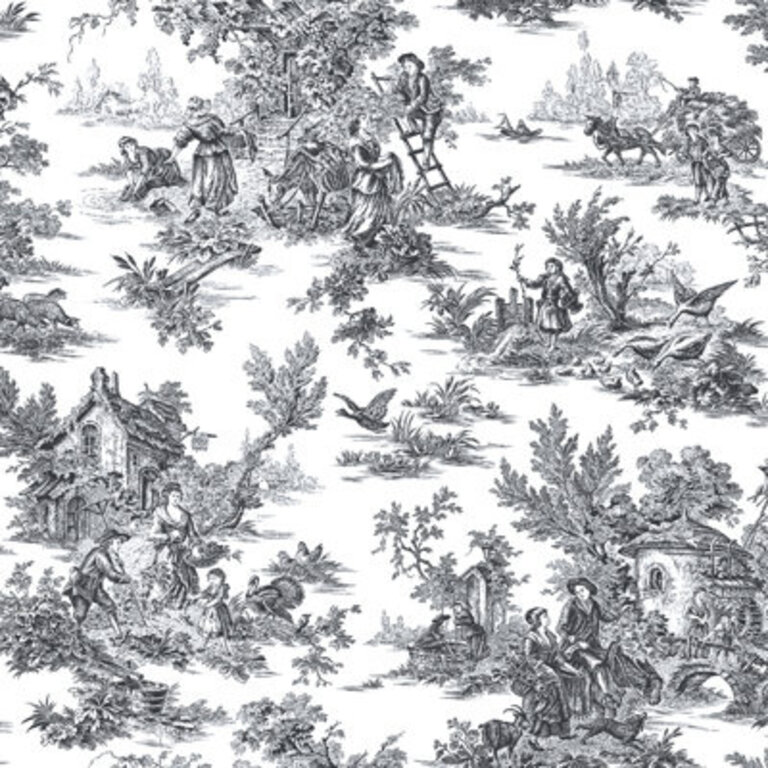 Toile Roll