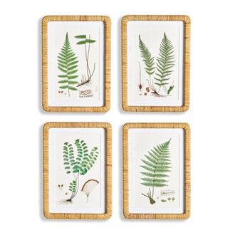 Eifa Forest Fern Rattan-Wrapped Prints Set of 4