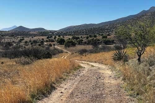 Ft Huachuca Gravel Ride