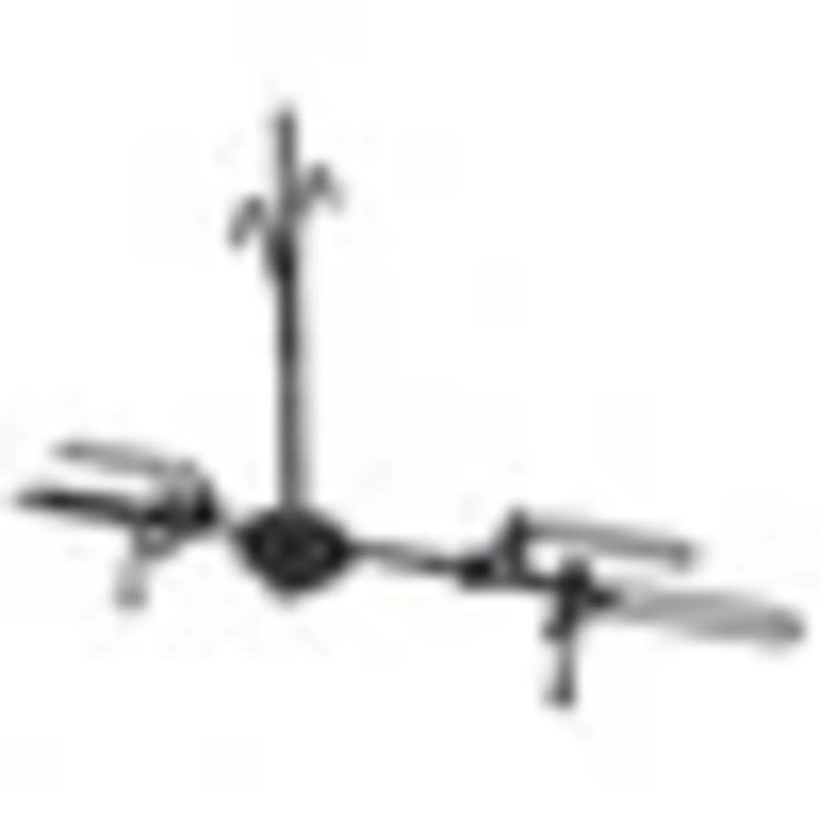 Swagman SWAGMAN XTC 2 TILT