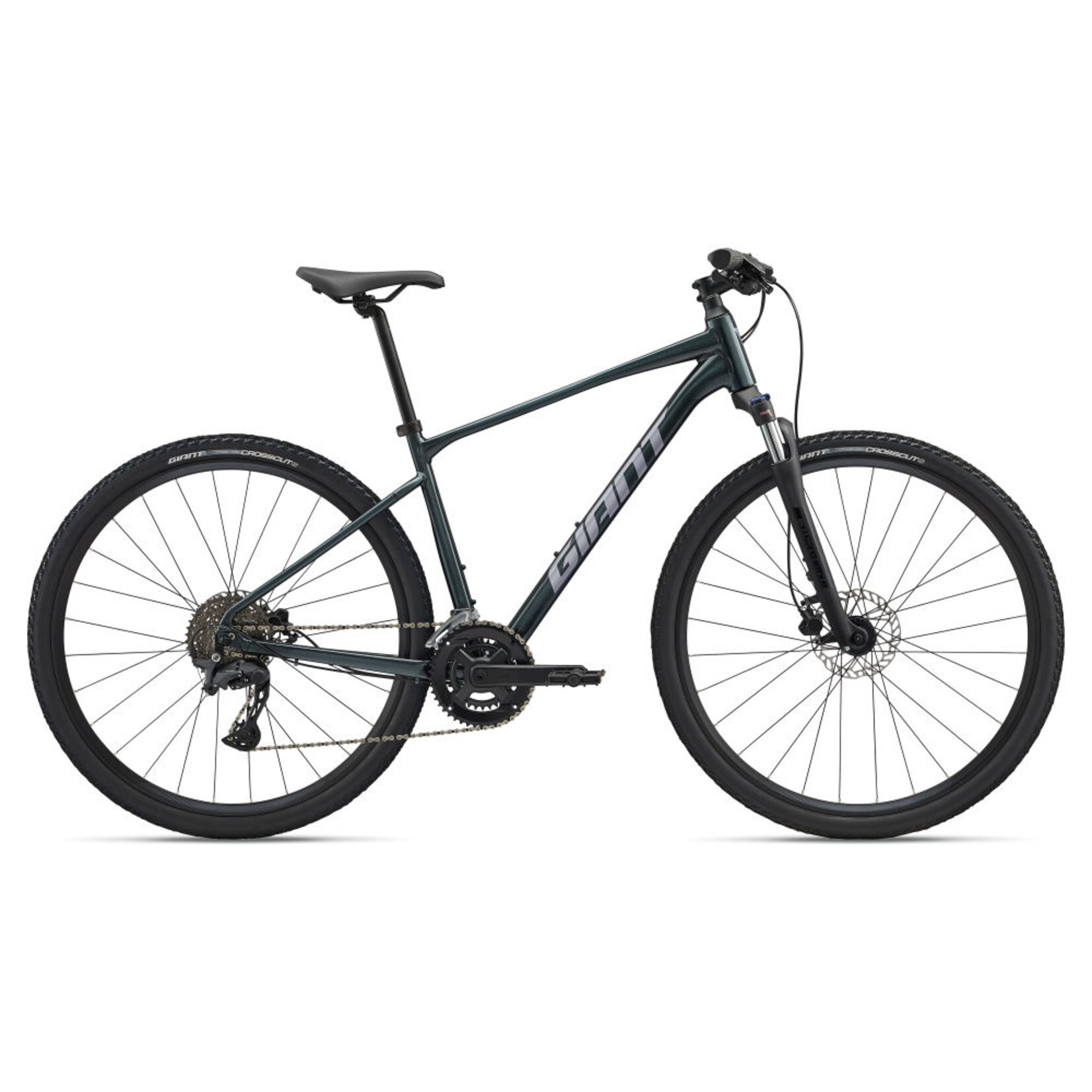 Giant Giant Roam 2