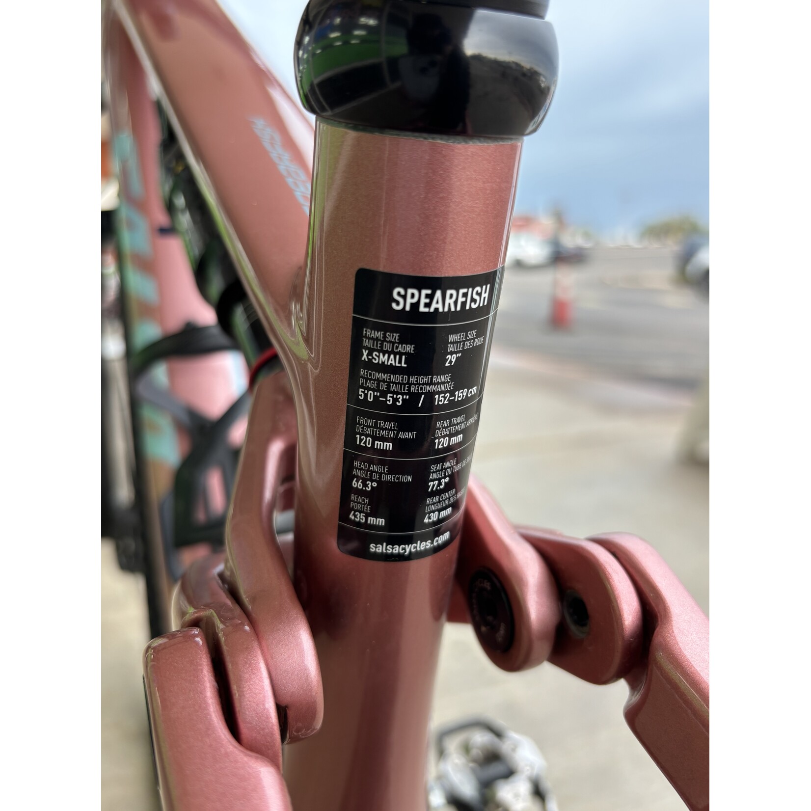 Salsa Salsa Spearfish C Eagle 90 Transmission Bike - 29", Carbon, Dusty Rose, X-Small