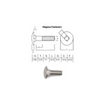 SS-316 SS316 Cup Head Bolt ISO M10 X 30