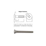 SS-316 SS316 Cup Head Bolt ISO M8 X 80