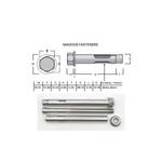 SS-316 SS316 Dynabolt W/Nut 10mm X 100