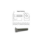 SS-316 SS316 Cup Head Bolt ISO M16 X 100