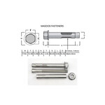 SS-316 SS316 Dynabolt W/Nut 10mm X 75