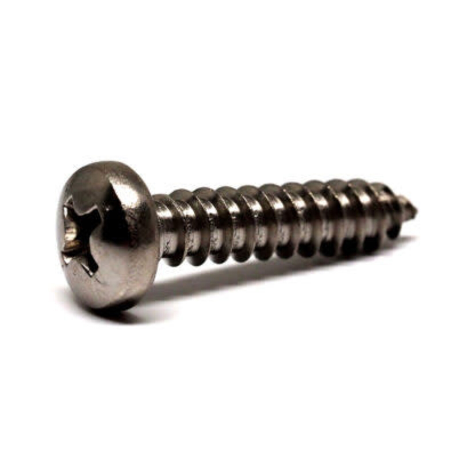 Screws SS304 Self Tapper Pan Phillips 8G X 1 SINGLE